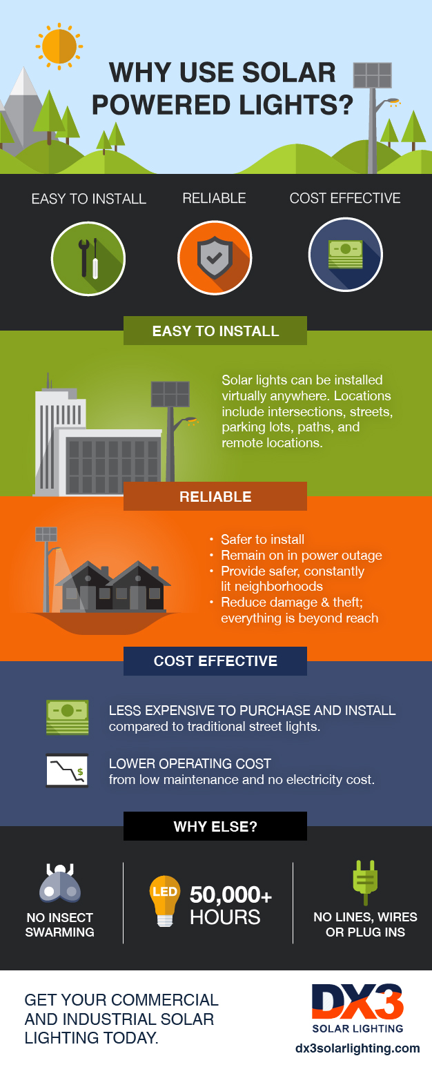 24+ Types of Modern Solar Lights: Uses, Benefits and Guide